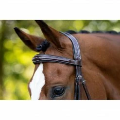 Best Sale 👍 KL Select Hampton Bridle 🌟 8 KL Select Hampton Bridle