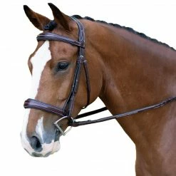 KL Select Hampton Bridle