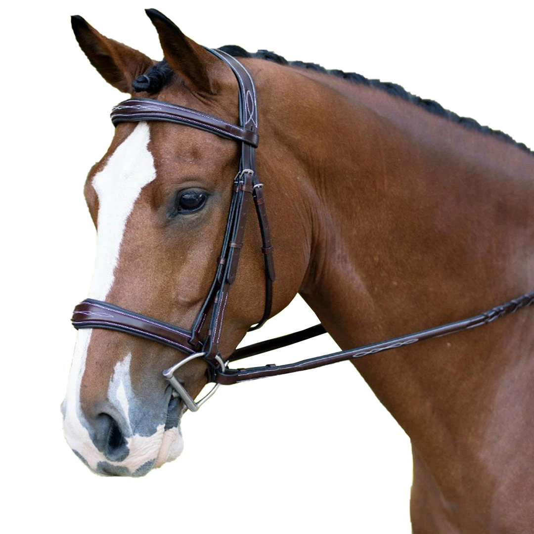 Best Sale 👍 KL Select Hampton Bridle 🌟 3 KL Select Hampton Bridle