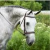 Coupon 🎁 KL Select Italia Middleburg Hunter Bridle English Bridles 👍 2 KL Select Italia Middleburg Hunter Bridle English Bridles