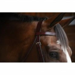 KL Select Italia Foxwell Hunt Bridle