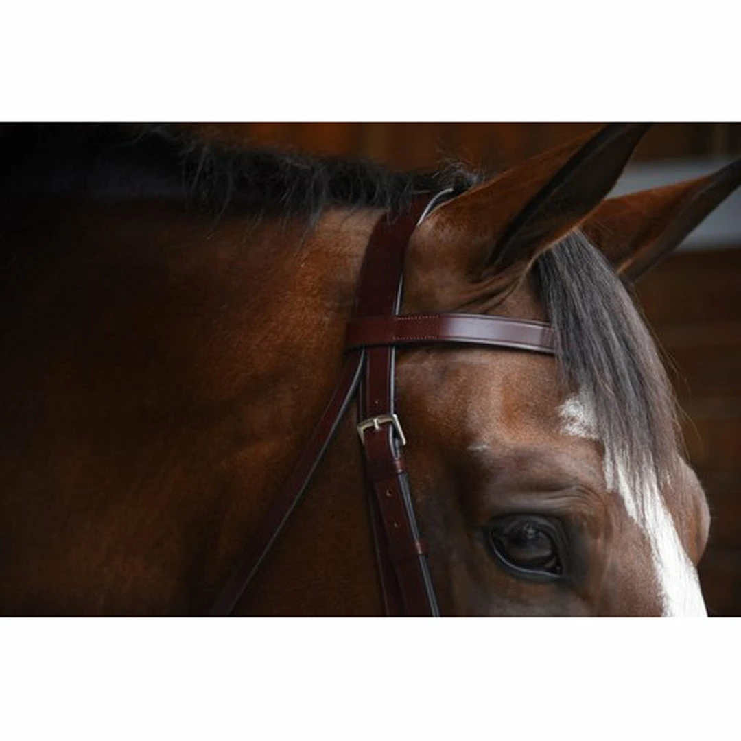 Discount 🎉 KL Select Italia Foxwell Hunt Bridle ✨ 4 KL Select Italia Foxwell Hunt Bridle