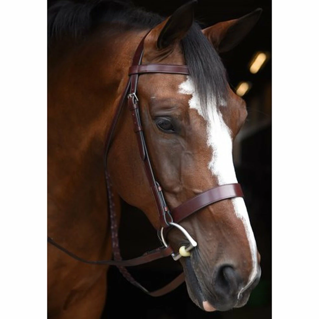 Discount 🎉 KL Select Italia Foxwell Hunt Bridle ✨ 3 KL Select Italia Foxwell Hunt Bridle