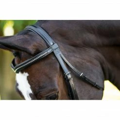 Best deal ❤️ English Bridles KL Select Italia Pirouette Bridle 🎉 13 English Bridles KL Select Italia Pirouette Bridle
