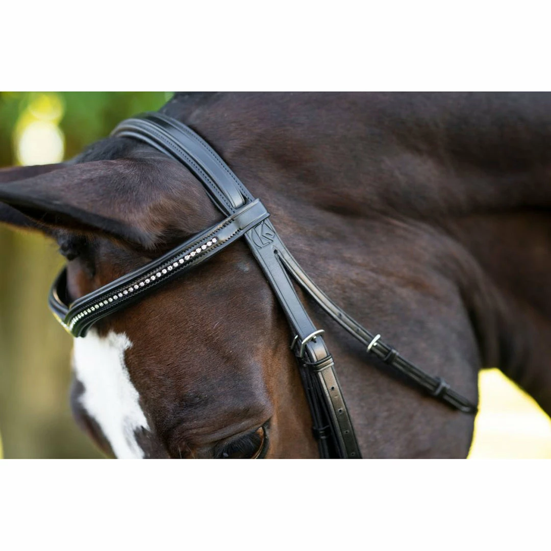 Best deal ❤️ English Bridles KL Select Italia Pirouette Bridle 🎉 7 English Bridles KL Select Italia Pirouette Bridle