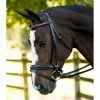 English Bridles KL Select Italia Pirouette Bridle