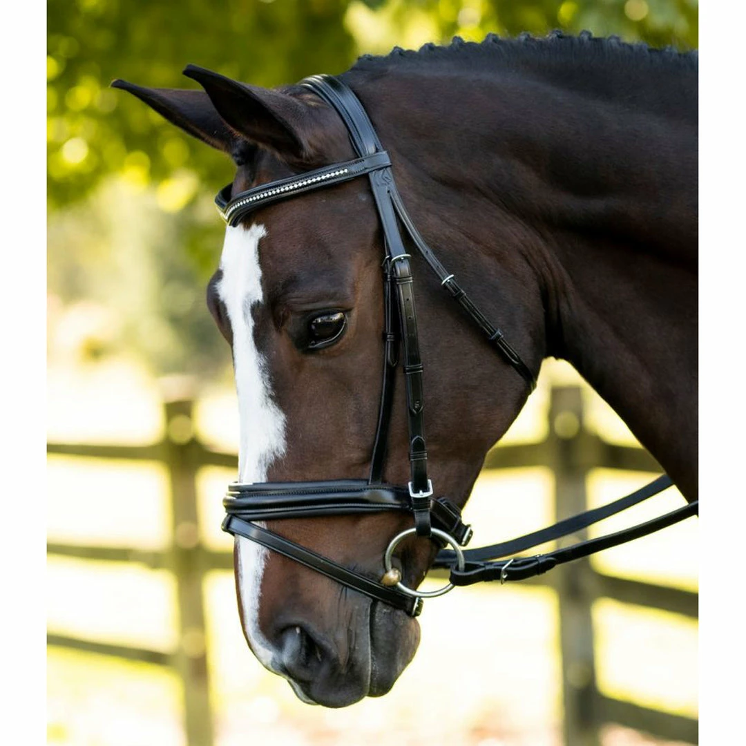 Best deal ❤️ English Bridles KL Select Italia Pirouette Bridle 🎉 3 English Bridles KL Select Italia Pirouette Bridle