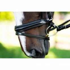 Best deal ❤️ English Bridles KL Select Italia Pirouette Bridle 🎉 14 English Bridles KL Select Italia Pirouette Bridle
