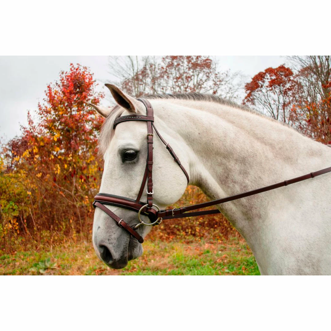 Best deal ❤️ English Bridles KL Select Italia Pirouette Bridle 🎉 4 English Bridles KL Select Italia Pirouette Bridle