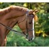 Wholesale 😀 KL Select Italia Venezia Hunter Bridle English Bridles 🧨 2 KL Select Italia Venezia Hunter Bridle English Bridles