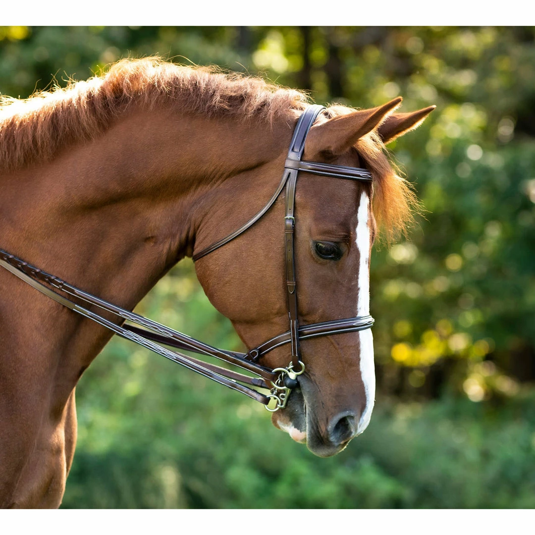 Wholesale ๐ KL Select Italia Venezia Hunter Bridle English Bridles ๐งจ 3 KL Select Italia Venezia Hunter Bridle English Bridles