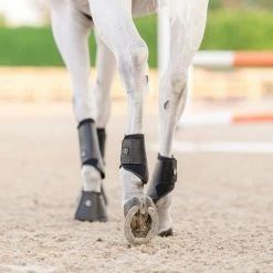 Best reviews of ✨ EquiFit Essential Everyday Hind Boot Horse 🥾 Boots & Wraps 🤩 11 EquiFit Essential Everyday Hind Boot Horse Boots & Wraps