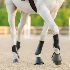 Best reviews of ✨ EquiFit Essential Everyday Hind Boot Horse 🥾 Boots & Wraps 🤩 12 EquiFit Essential Everyday Hind Boot Horse Boots & Wraps