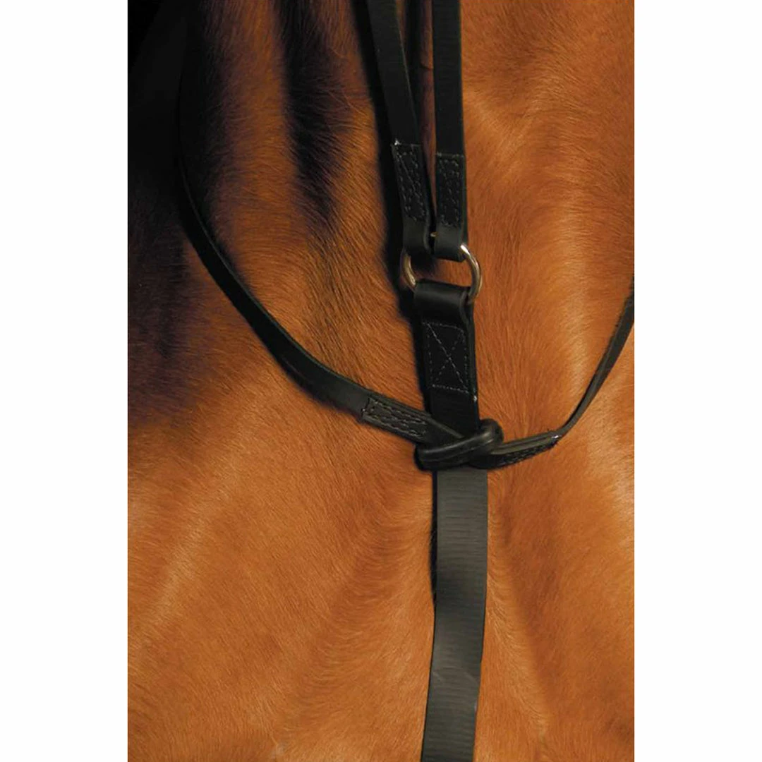 Top 10 😉 Saddlery Brands International Martingales, Breastplates, Attachments Wintec Running Martingale 🔔 5 Saddlery Brands International Martingales, Breastplates, Attachments Wintec Running Martingale