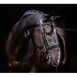 PS Of Sweden Passage Lacquered Double Bridle