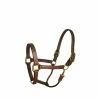 Top 10 ๐ Perri's Leather Stable Halter Halters & Leads ๐ 1 Perri's Leather Stable Halter Halters & Leads