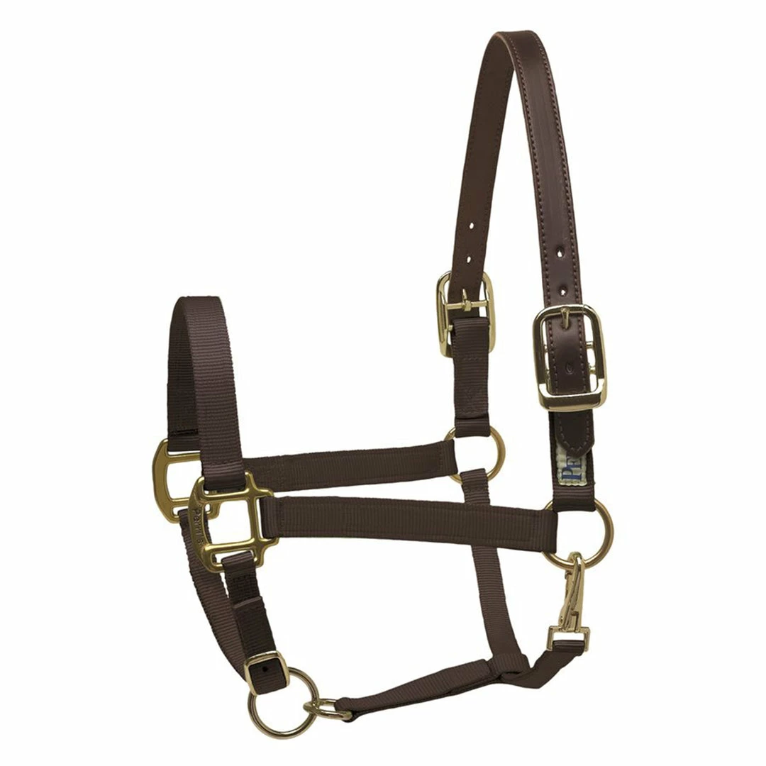 New 😉 Perri's Leather Perri's Economy Safety Halter Halters & Leads ✨ 3 Perri's Leather Perri's Economy Safety Halter Halters & Leads