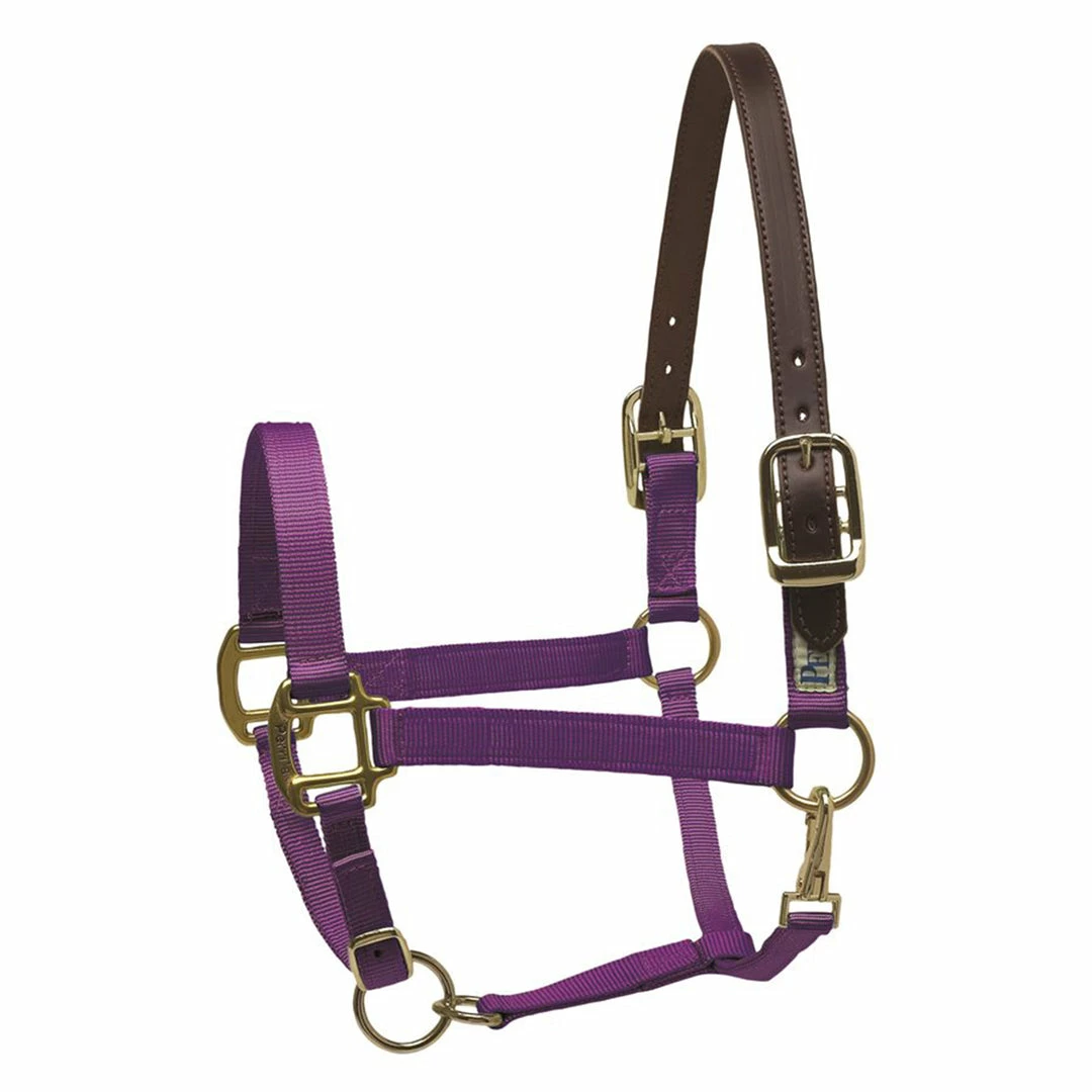 New 😉 Perri's Leather Perri's Economy Safety Halter Halters & Leads ✨ 5 Perri's Leather Perri's Economy Safety Halter Halters & Leads