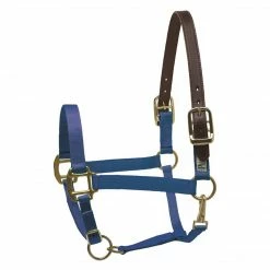 New 😉 Perri's Leather Perri's Economy Safety Halter Halters & Leads ✨ 11 Perri's Leather Perri's Economy Safety Halter Halters & Leads