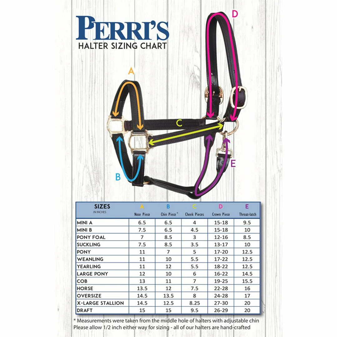New 😉 Perri's Leather Perri's Economy Safety Halter Halters & Leads ✨ 8 Perri's Leather Perri's Economy Safety Halter Halters & Leads