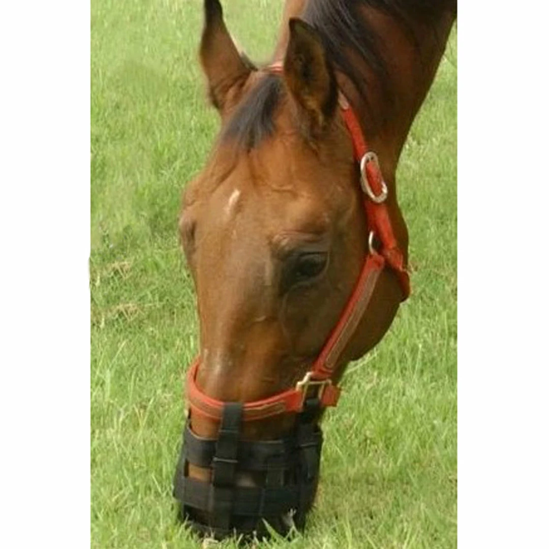 Cheapest 🌟 Jacks Mfg Best Friend Grazing Muzzle 🔥 4 Jacks Mfg Best Friend Grazing Muzzle