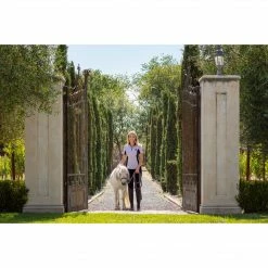 Flash Sale 🛒 Show 👕 Shirts Goode Rider Ideal Show 👕 Shirt 🛒 24 Show Shirts Goode Rider Ideal Show Shirt