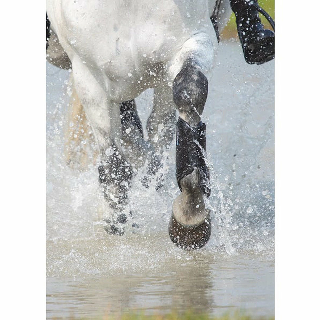 Budget 👏 Shires Equestrian Products Arma Cross Country Front 🥾 Boots Horse 🥾 Boots & Wraps 😀 4 Shires Equestrian Products Arma Cross Country Front Boots Horse Boots & Wraps