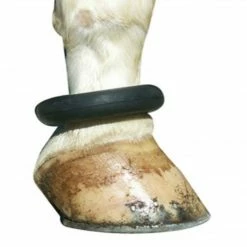 Intrepid Horse Boots & Wraps Fetlock Ring