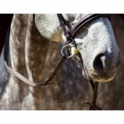 Best reviews of 👏 ThinLine English Reins ❤️ 33 ThinLine English Reins