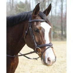 JPC Equestrian HDR Kushy Bridle With Detachable Flash