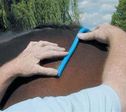 Nunn Finer Saddle Fitting Curve Grooming