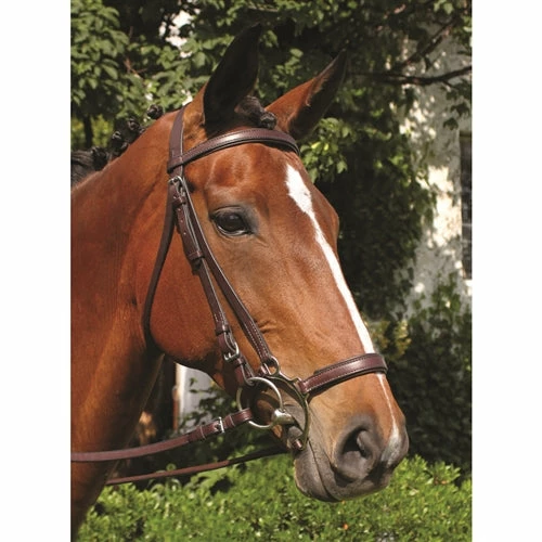 Best Pirce ❤️ English Bridles Nunn Finer Original Lever Noseband 💯 3 English Bridles Nunn Finer Original Lever Noseband