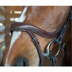 Nunn Finer A Forma Di Shaped Bridle English Bridles