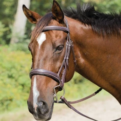 Shires Equestrian Products English Bridles Avignon Wellington Bridle