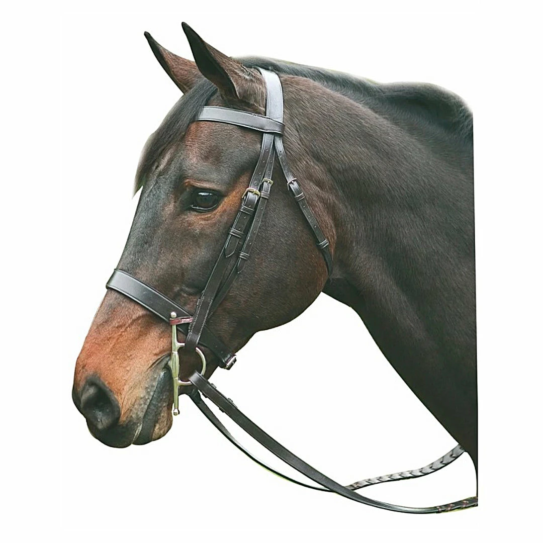 Promo 👍 JPC Equestrian English Bridles HDR Advantage Hunt Bridle ✔️ 3 JPC Equestrian English Bridles HDR Advantage Hunt Bridle