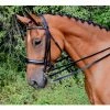 Coupon ❤️ Red Barn By KL Select Cadence Weymouth 👗 Dressage Bridle English Bridles ❤️ 1 Red Barn By KL Select Cadence Weymouth Dressage Bridle English Bridles