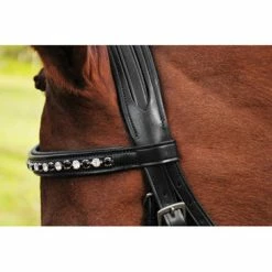 Red Barn By KL Select Cadence Dressage Bridle