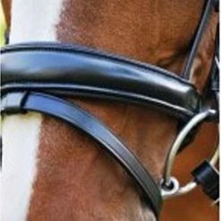 Red Barn By KL Select Cadence Dressage Bridle