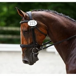Red Barn By KL Select Arena Ergonomic Bridle