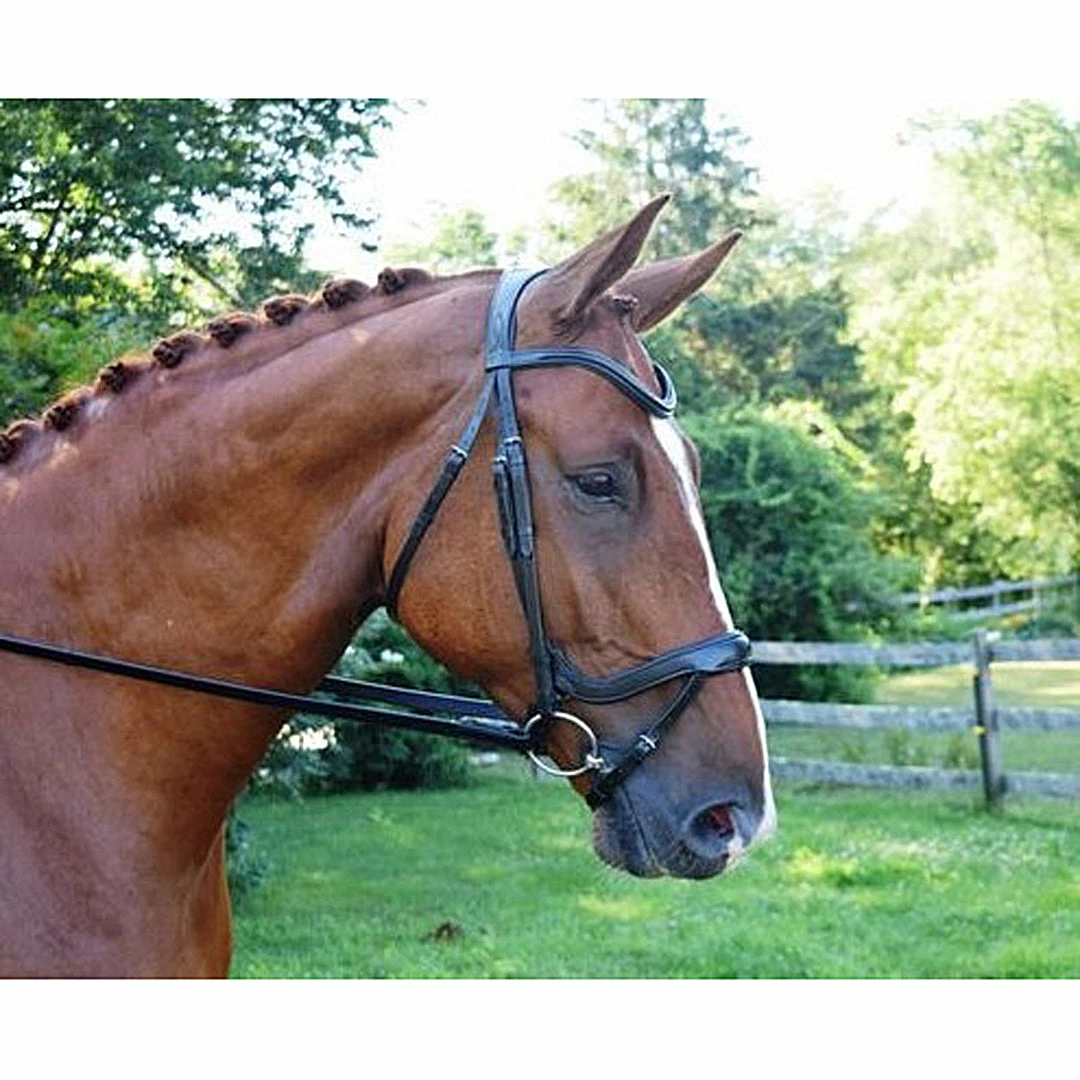 Cheap 😉 Red Barn By KL Select Arena Ergonomic Bridle 🤩 4 Red Barn By KL Select Arena Ergonomic Bridle