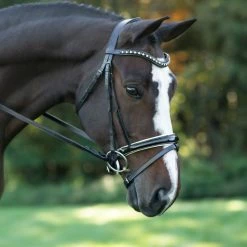 Hot Sale 👍 English Bridles Red Barn By KL Select Stride 👗 Dressage Bridle 🌟 13 English Bridles Red Barn By KL Select Stride Dressage Bridle