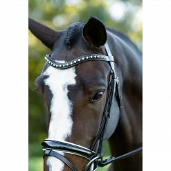 Hot Sale 👍 English Bridles Red Barn By KL Select Stride 👗 Dressage Bridle 🌟 14 English Bridles Red Barn By KL Select Stride Dressage Bridle