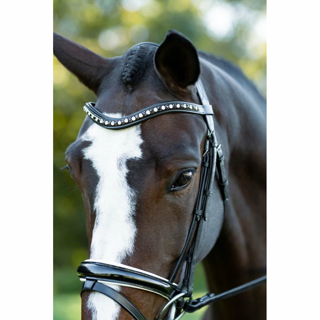 Hot Sale 👍 English Bridles Red Barn By KL Select Stride 👗 Dressage Bridle 🌟 7 English Bridles Red Barn By KL Select Stride Dressage Bridle