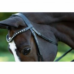 Hot Sale 👍 English Bridles Red Barn By KL Select Stride 👗 Dressage Bridle 🌟 15 English Bridles Red Barn By KL Select Stride Dressage Bridle