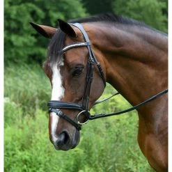 Red Barn By KL Select Pace Dressage Bridle English Bridles