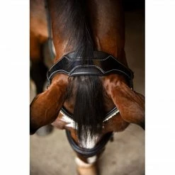 Red Barn By KL Select Pace Dressage Bridle English Bridles