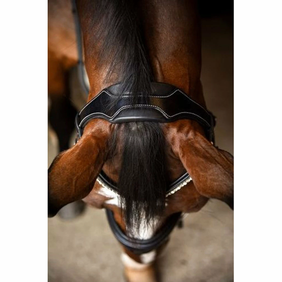 New ๐ Red Barn By KL Select Pace ๐ Dressage Bridle English Bridles ๐ 4 Red Barn By KL Select Pace Dressage Bridle English Bridles