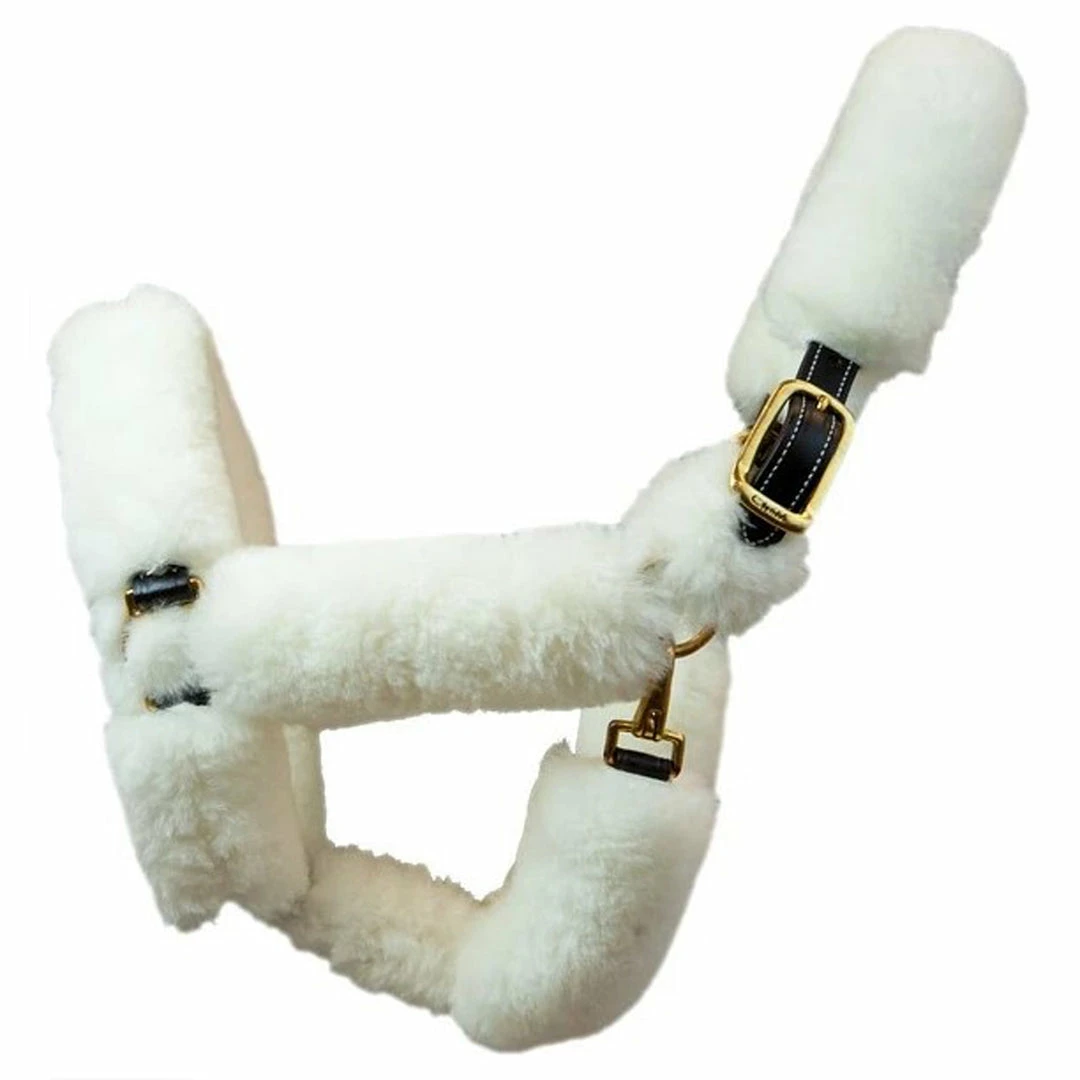 Best reviews of ⌛ Walsh Shipping Halter 👍 3 Walsh Shipping Halter