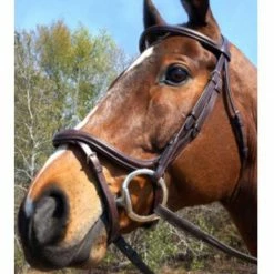 Nunn Finer A Forma Di Shaped Bridle English Bridles