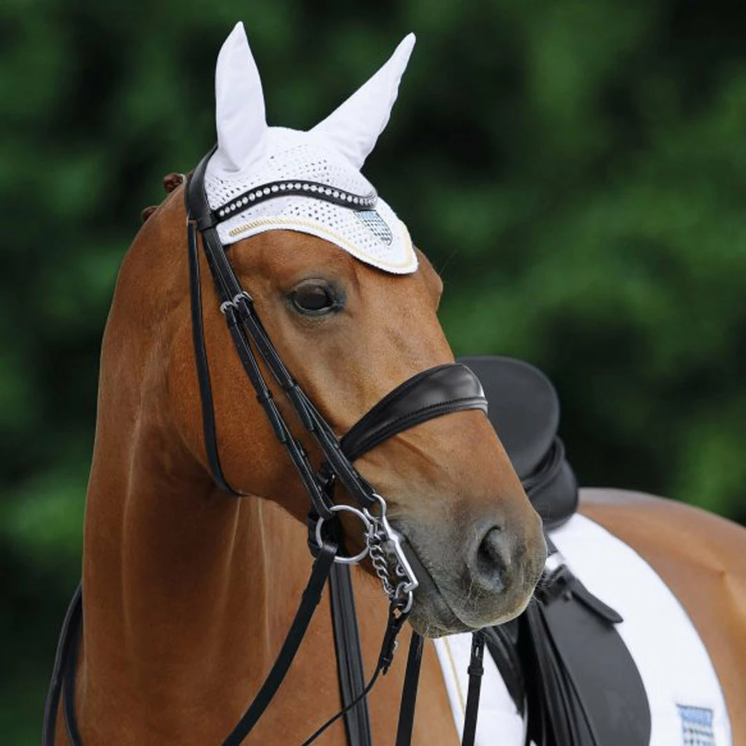 Best Pirce 🥰 Passier Atlas Double Bridle English Bridles 🤩 4 Passier Atlas Double Bridle English Bridles